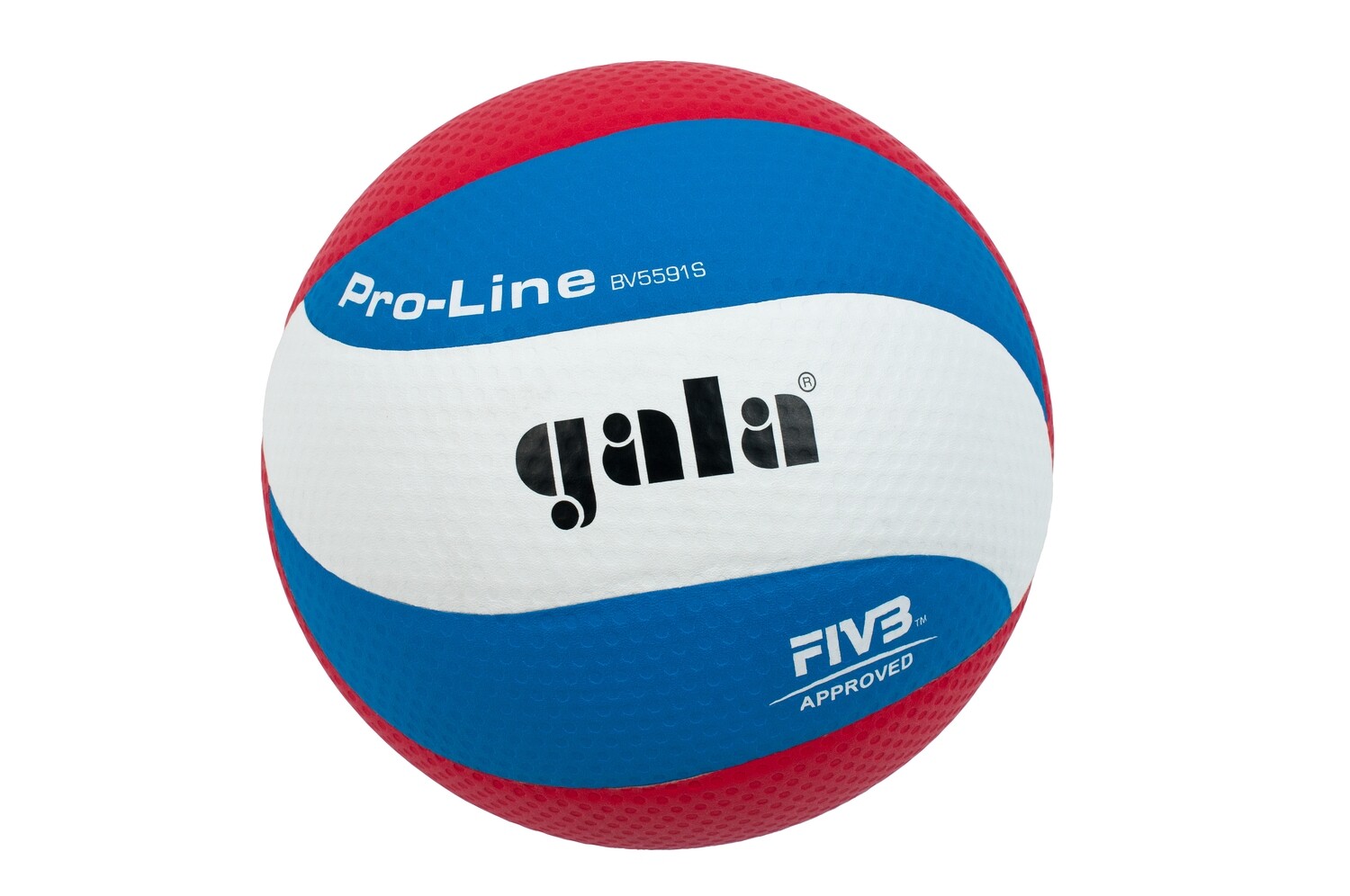 GALA PRO-LINE 10 BV 5591S OMOLOGATO FIVB